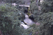 Canoe dans les gorges du Tarn